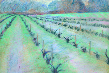 Pastel 1